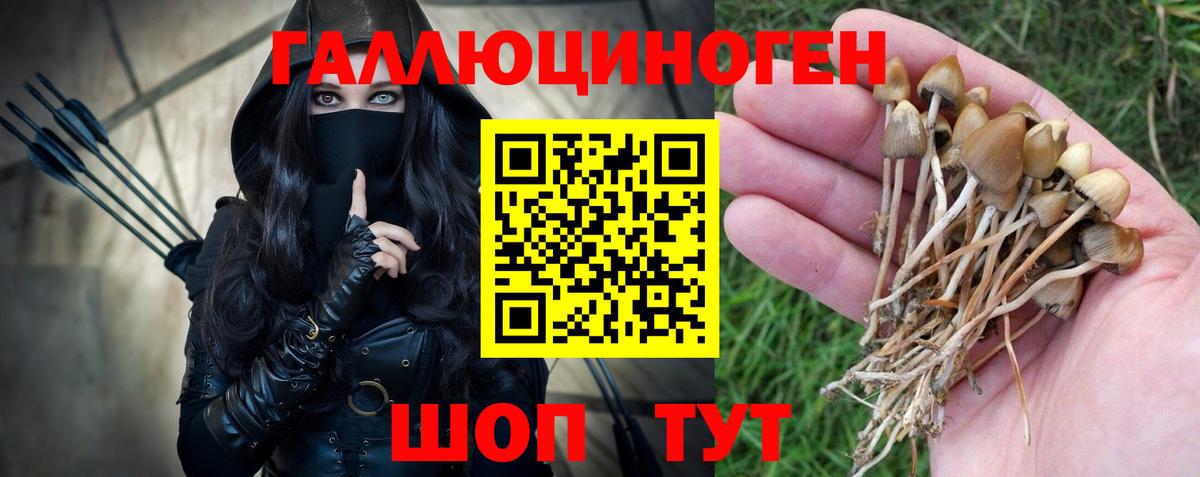 цена   Галлюциногенные грибы MAGIC MUSHROOMS  Оренбург  Вход с VPN  Галлюциногенные грибы Psilocybine cubensis 